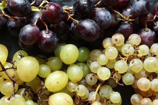 Photography of three varietes of grape for food background