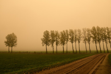 Obraz premium sunrise in the field