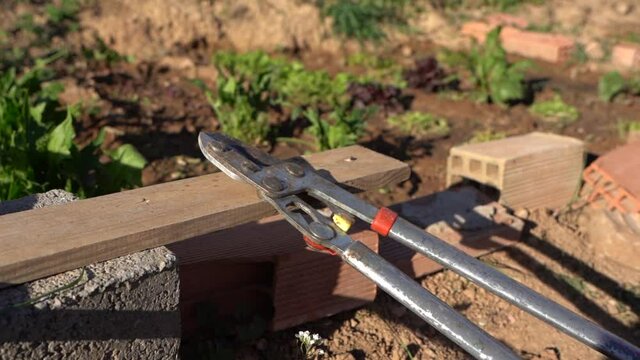 Working tools for the field left close to the plants