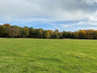 Tatton Park Parkland in the autumn