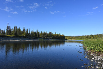 Taiga river among the Virgin Komi forests.