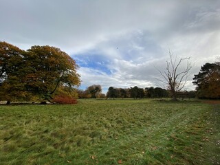 Tatton Park Parkland in the autumn