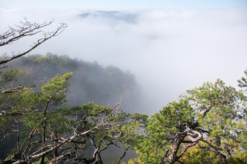 Obraz na płótnie Canvas Czech National Park in a autumn, foggy weather. 