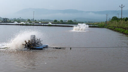 Obraz premium Fish farm