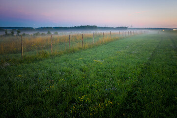 Obraz premium Morning fog in the meadows during sunrise in the countryside. Rural landscape with a fog on the geen field.