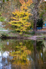 Autumn in the park