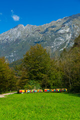 Beehive, Soca Valley, Julian Alps, Municipality of Kobarid, Slovenia, Europe