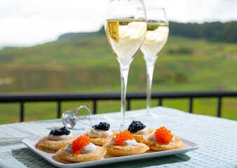 Tasting and pairing of french champagne wine with pancakes, creme fresh, red and black fish caviar and view on green vineyards of Champagne near Epernay on background