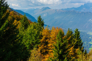 Soca Valley, Julian Alps, Municipality of Kobarid, Slovenia, Europe
