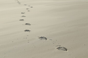 Footprints, Kniepsand, Wittdün, Isle of Amrum, North Frisian islands, Schleswig-Holstein, Germany