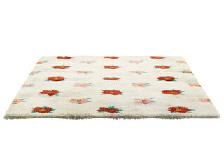 Modern light beige fluffy rectangular carpet with a red floral pattern. Contemporary rug with cotton base and high pile on white background. Mid-century, Scandinavian interior. 3d render