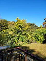 autumn outdoor park pond trees fall colors trail