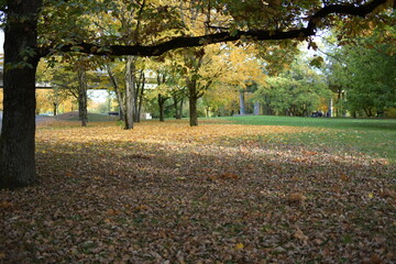 Bild der Natur im Herbst