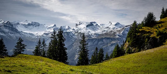Fotobehang Wonderful panoramic view over the Swiss Alps - view from Schynige Platte Mountain - travel photography © 4kclips