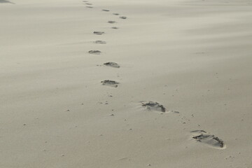 Footprints, Kniepsand, Wittdün, Isle of Amrum, North Frisian islands, Schleswig-Holstein, Germany