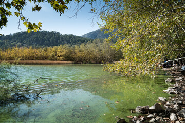 The view of Kovada lake in the forest, natural reeds in the lake and the greenish color of the water. Isparta Lake District, TURKEY