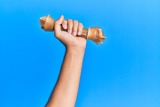 Hand of hispanic man holding dog bone over isolated blue background.