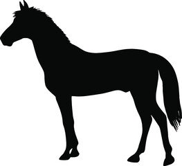 Black vector icon of horse