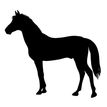 Black icon of horse