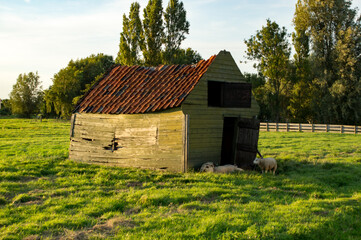 ramshakled shed