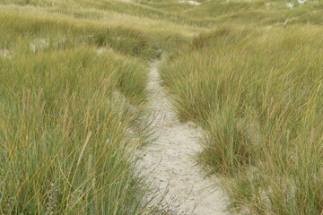 Kniepsand, Wittdün, Isle of Amrum, North Frisian islands, Schleswig-Holstein, Germany