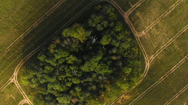 Beautiffull Autumn drone fly over the trees and fields