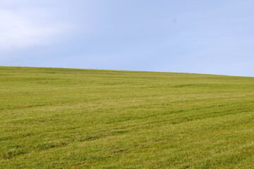meadow and sky