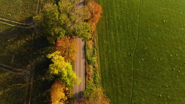 Beautiffull Autumn drone fly over the road with car driving by