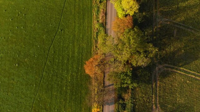 Beautiffull Autumn drone fly over the road with car driving by