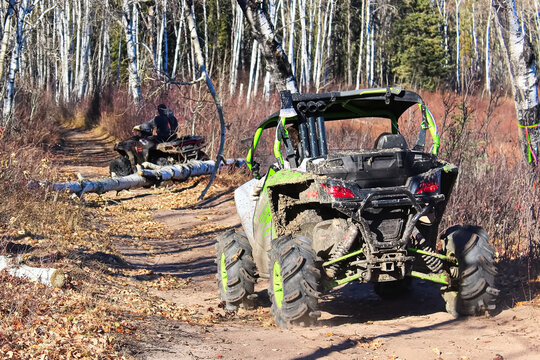 A Side-by-side Is Blocked On A Trail By A Fallen Tree