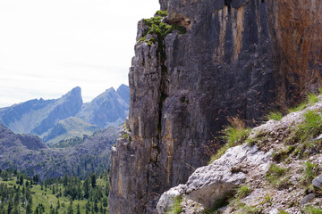 Paroi rocheuse surplombant les forêts