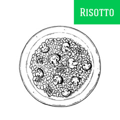 Italian risotto hand drawn vector illustration. Risotto top view. Packaging design template. Sketch illustration.