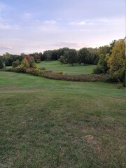 course in the evening