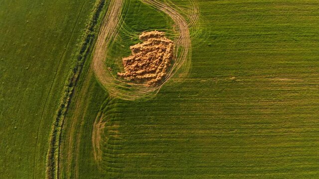 Green field road marks dly over 