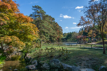 Fototapeta na wymiar autumn landscape with lake in a park