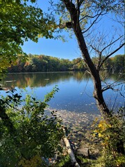 lake in autumn