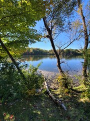 lake in the forest