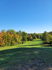 autumn landscape with trees