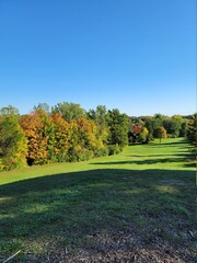 Obraz na płótnie Canvas autumn landscape with trees