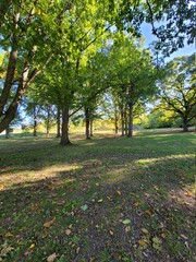 autumn in the park
