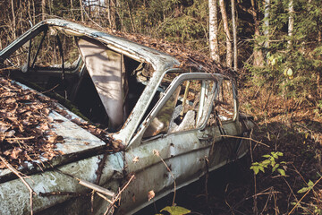 old car abandoned in the forest/Old car in the woods.