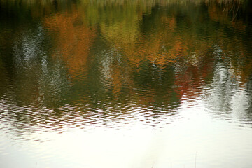 Fototapeta na wymiar reflections in the water