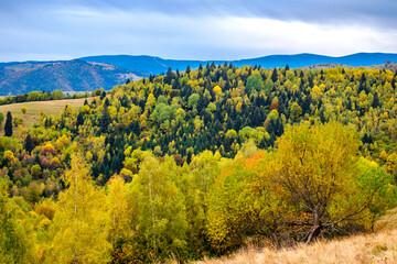 Colorful autumn landscape in the Romanian Carpathians, Fantanele village, Sibiu county, Cindrel mountains, 1100m, Romania