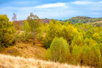 Fototapeta premium Colorful autumn landscape in the Romanian Carpathians, Fantanele village, Sibiu county, Cindrel mountains, 1100m, Romania