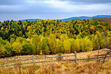 Fototapeta na wymiar Colorful autumn landscape in the Romanian Carpathians, Fantanele village, Sibiu county, Cindrel mountains, 1100m, Romania