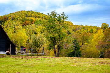 Colorful autumn landscape in the Romanian Carpathians, Fantanele village, Sibiu county, Cindrel mountains, 1100m, Romania