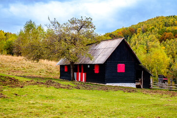Obraz premium Colorful autumn landscape in the Romanian Carpathians, Fantanele village, Sibiu county, Cindrel mountains, 1100m, Romania