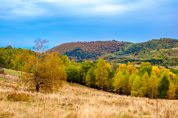 Colorful autumn landscape in the Romanian Carpathians, Fantanele village, Sibiu county, Cindrel mountains, 1100m, Romania