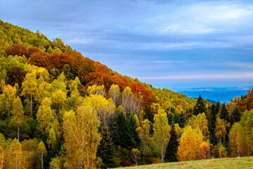 Obraz premium Colorful autumn landscape in the Romanian Carpathians, Fantanele village, Sibiu county, Cindrel mountains, 1100m, Romania