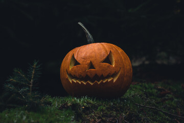 Halloween im Wald